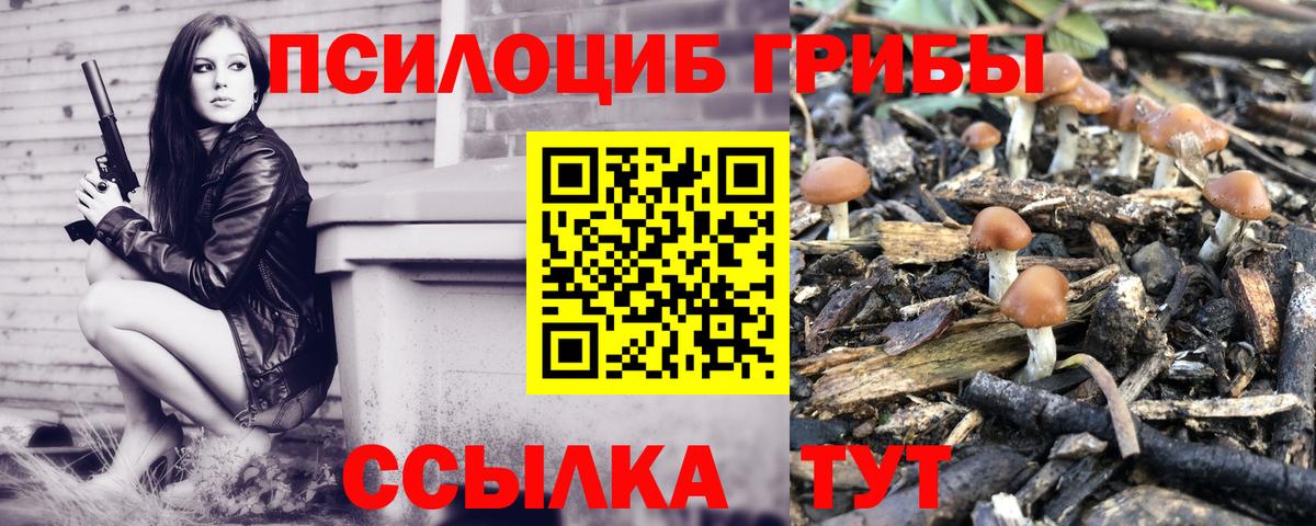 Вольск  Псилоцибиновые грибы Magic Shrooms  Вход с VPN  Галлюциногенные грибы мухоморы 